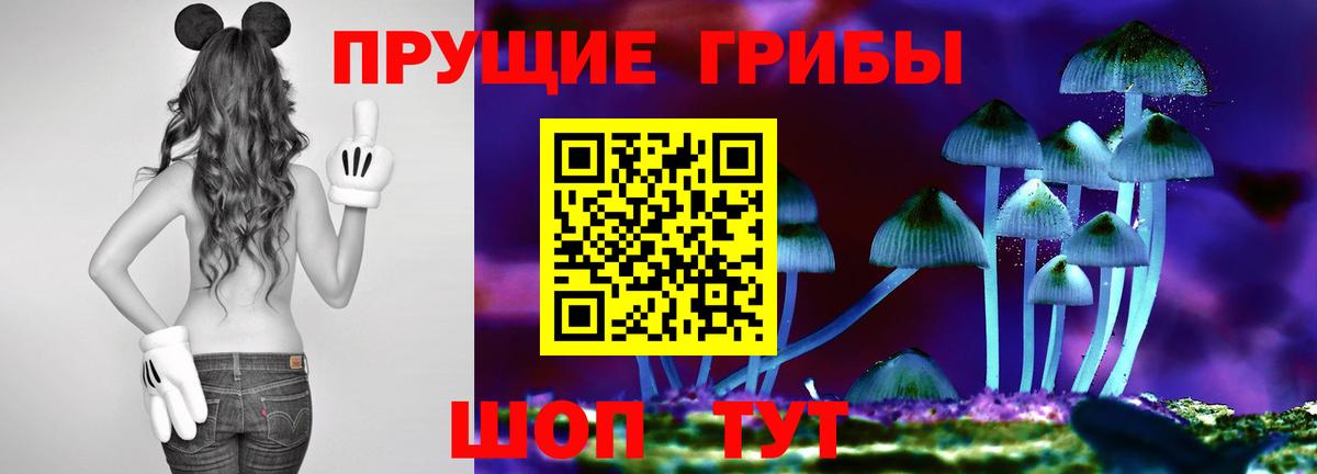 Псилоцибиновые грибы мухоморы Камень-на-Оби