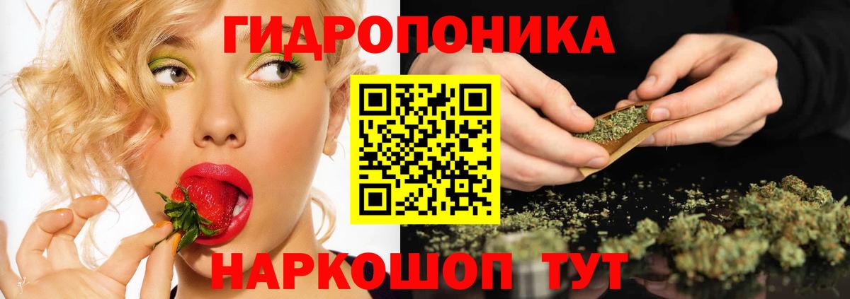 Бошки марихуана план  Бошки марихуана марихуана  Камень-на-Оби  Вход с VPN 